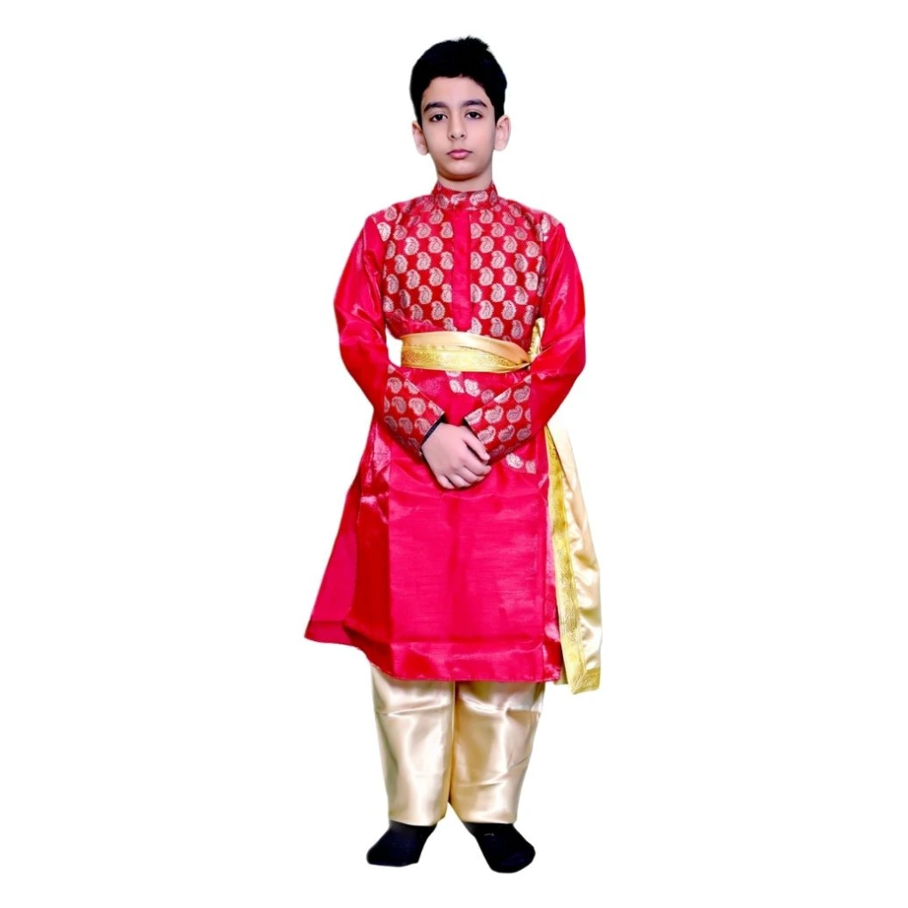 Classical Dance Dress Costume in Noida