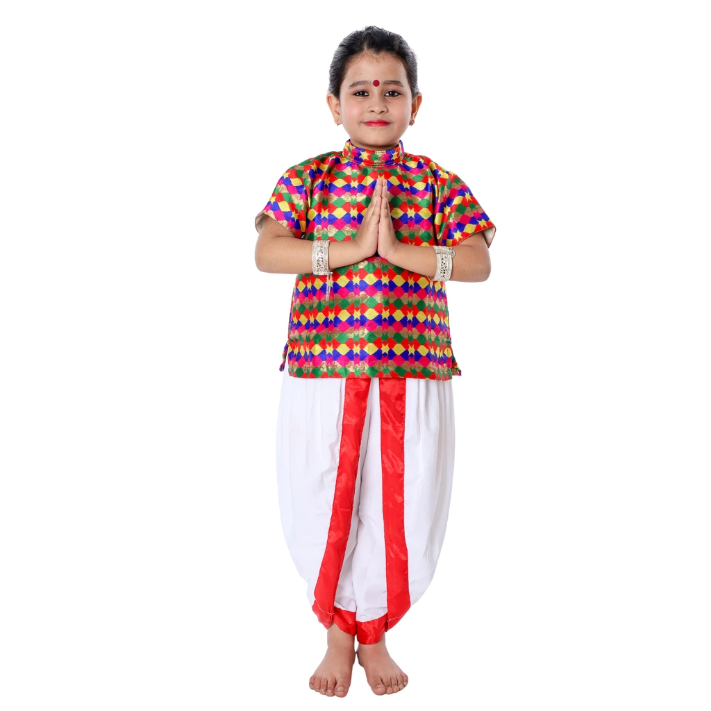 Classical Dance Dress Costume in Noida