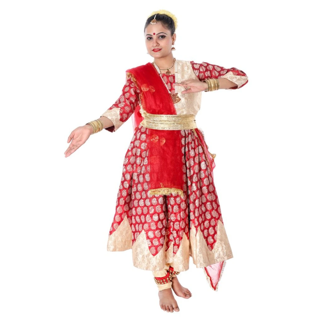 Classical Dance Dress Costume in Noida