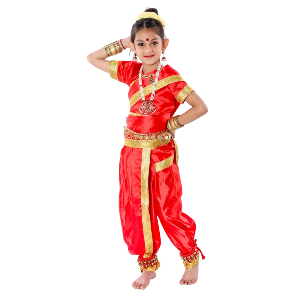 Classical Dance Dress Costume in Noida